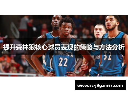 提升森林狼核心球员表现的策略与方法分析