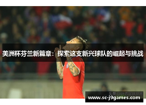 美洲杯芬兰新篇章：探索这支新兴球队的崛起与挑战