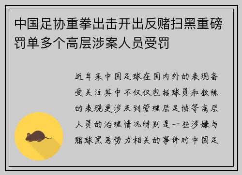 中国足协重拳出击开出反赌扫黑重磅罚单多个高层涉案人员受罚
