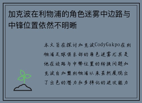 加克波在利物浦的角色迷雾中边路与中锋位置依然不明晰